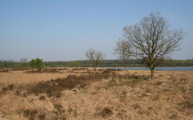 Vakantiehuis NamaStee