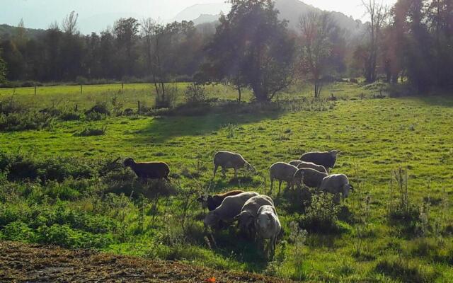 Domaine Lou Castet B&B