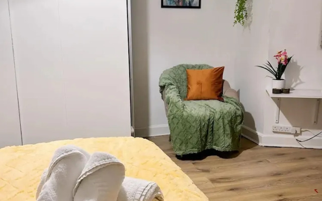 Cozy London Apartment - Central Location
