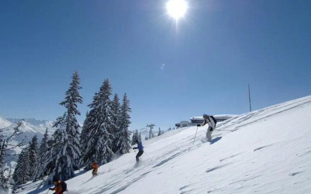 Contemporary Swiss Escape