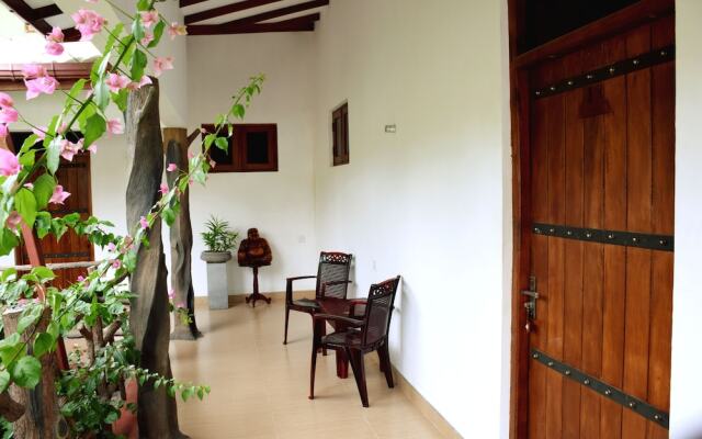Hungry Lion Sigiriya