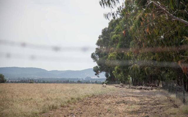 GuestReady - Herdade da Sexta Velha - Alentejo Wine Estate