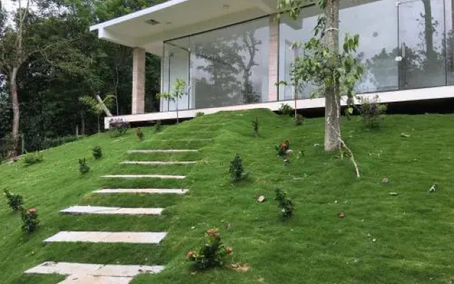 Harmony Farm Wayanad