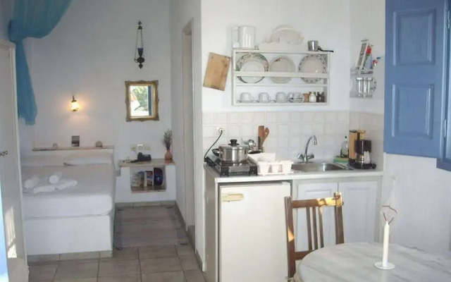Ecoxenia Studios
