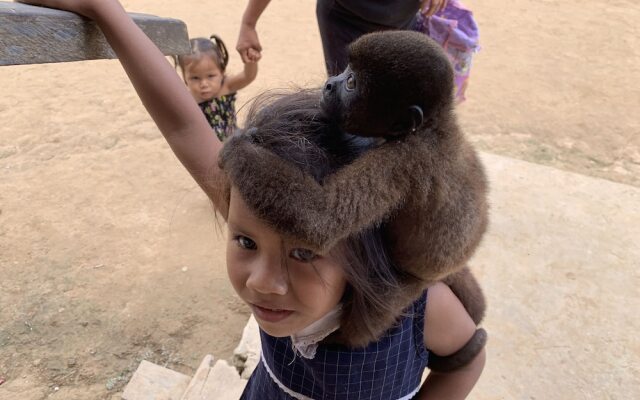 JG Expeditions Tours