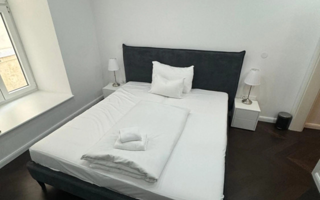 Luxurious Apartment in the Centre of Vienna