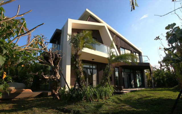 The House 15