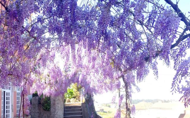 Alegre - Bussaco Boutique Hotel