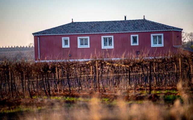 Villa Piscine au cœur des vignes