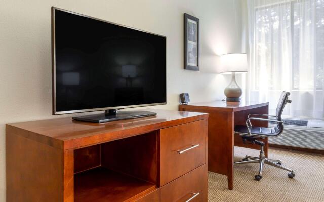 Comfort Inn & Suites Lenoir Hwy 321 Northern Foothills