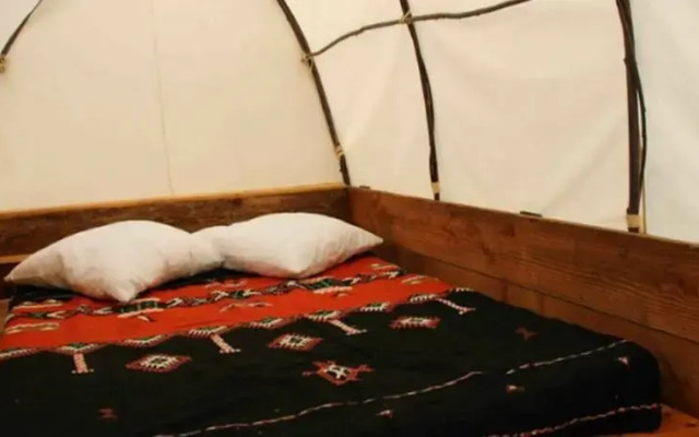 Tipis Des Oliviers