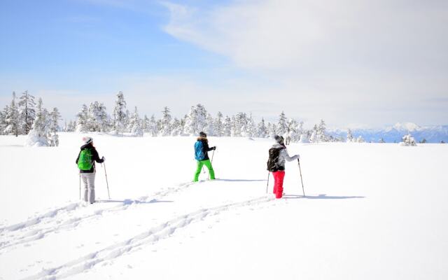 Shigakogen Milky Hot Spring Keikokunoyu