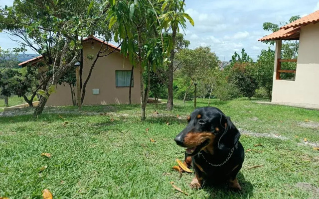 Toca Dos Coelhos Chales