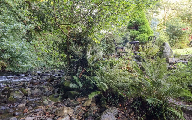 Taw River View