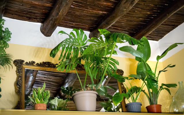 Monart Hospitality Capodimonte