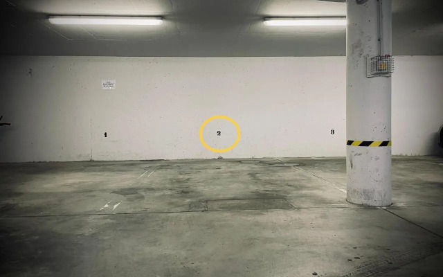 Studio XII