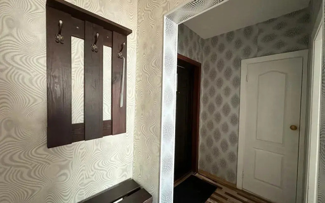 Apartments on 111 Alekseeva Street