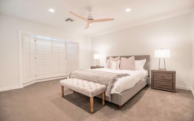 Exeter - Agave in Phoenix