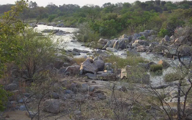 Nyangombe Safari Lodge