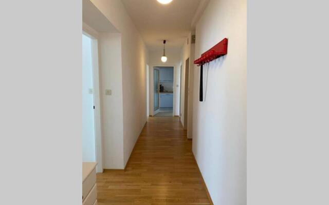 Mitten im Achten. Zentrale Wohnung in Wien