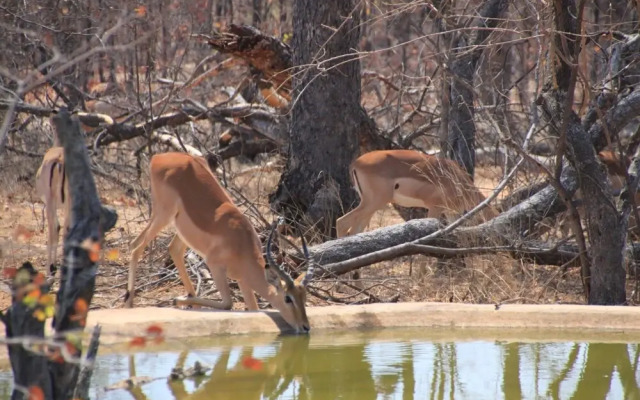 Thula Private Lodge