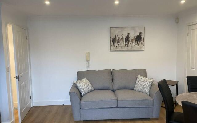 Modern The Mews Apartment
