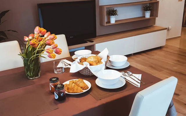 Stawowa Apartment with private garage