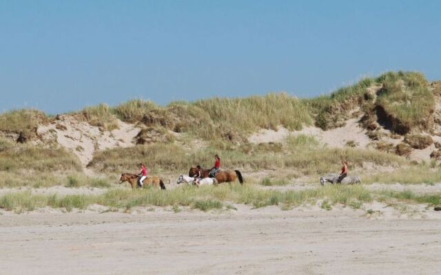 "Jenna" - 2.5km from the sea in Western Jutland