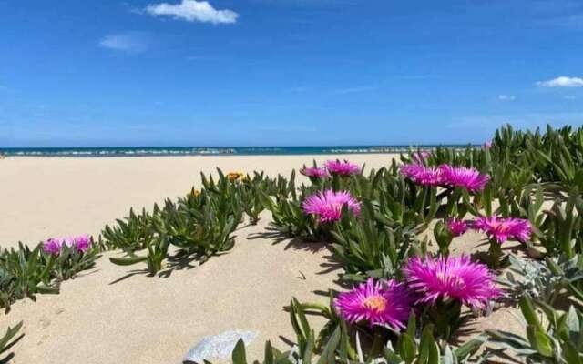 Appartamenti Abate  Conchiglia Home