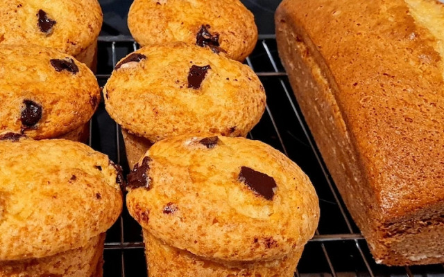 El Bosque de las Viñas