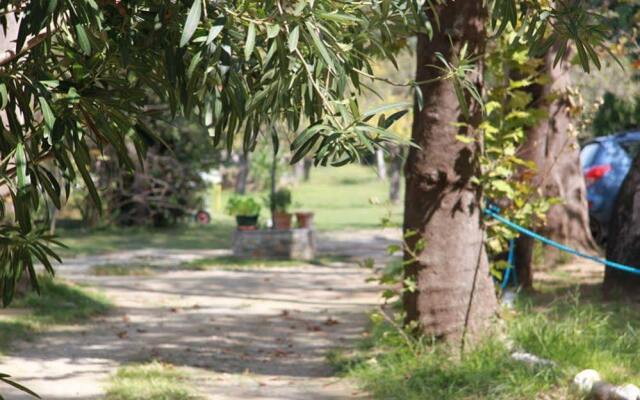 Platanofylla Pelion Apartment