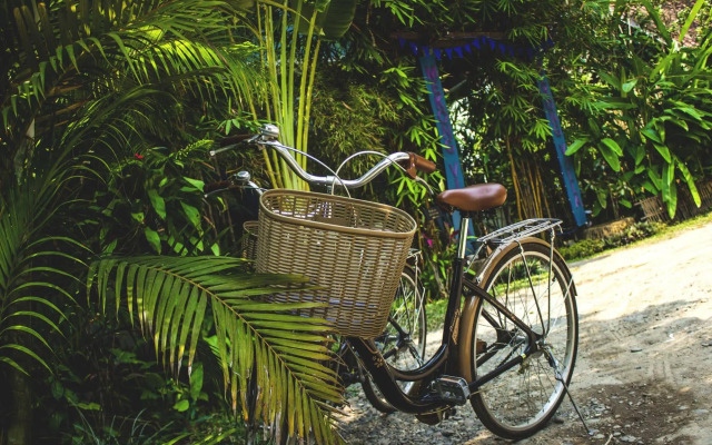 Ock Pop Tok Mekong Villa