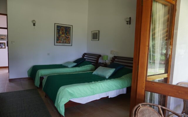 Jungle Tide Bungalow