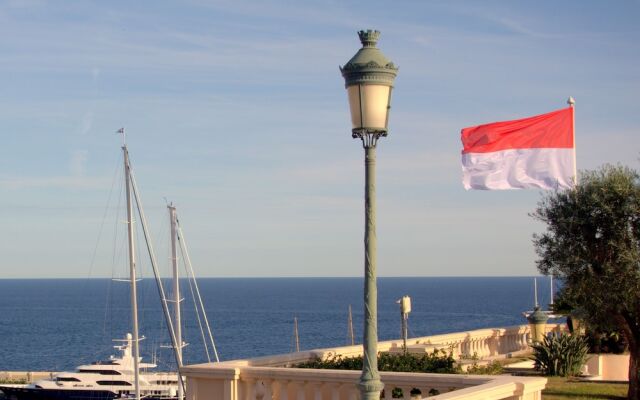 Over Monte Carlo