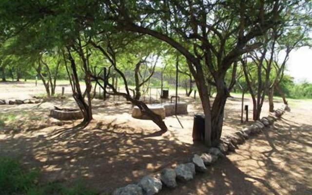 Sasa Safari Camp