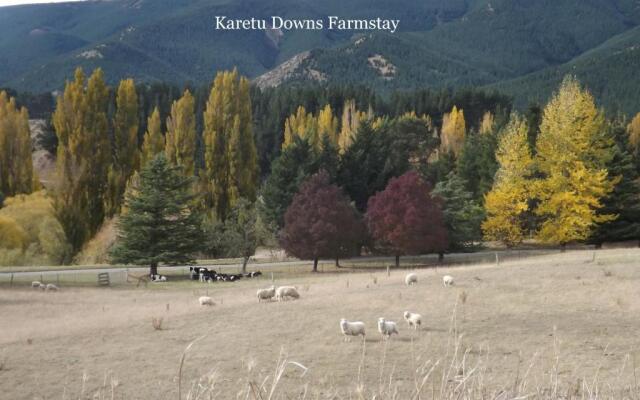 Karetu Downs Farm Stay