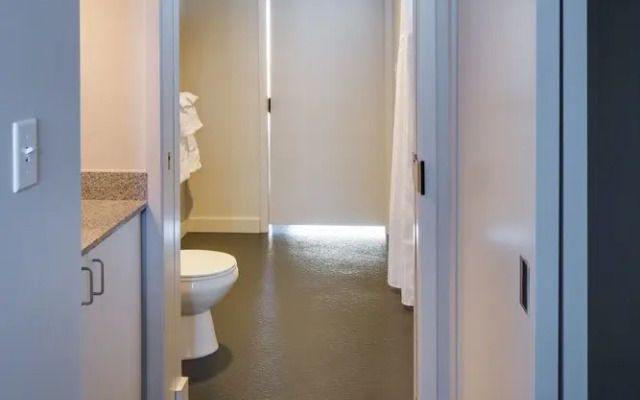 Stay Alfred on 6th Avenue