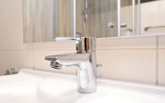 Tranquil Apartment in Geschwend near City Center & River