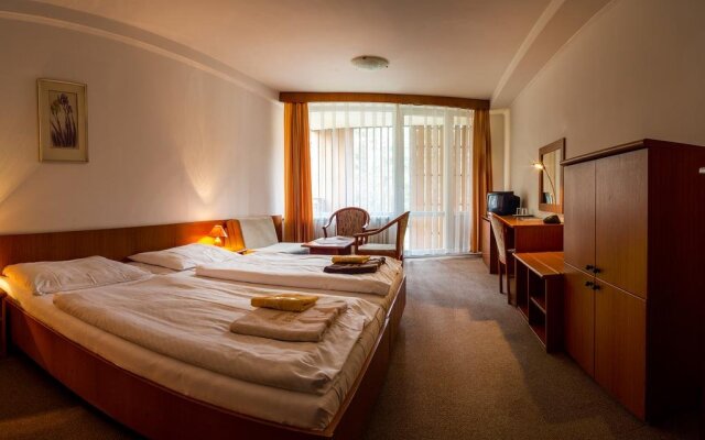 Hotel Bezdez Stare Splavy