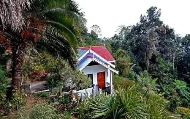 Mystic Orchid Retreat