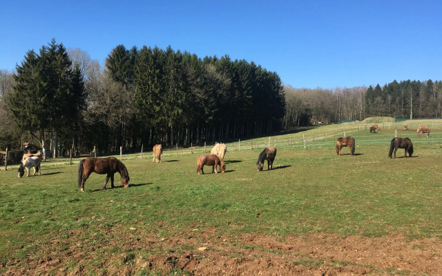 Charming holiday home in Givonne in the Ardennes