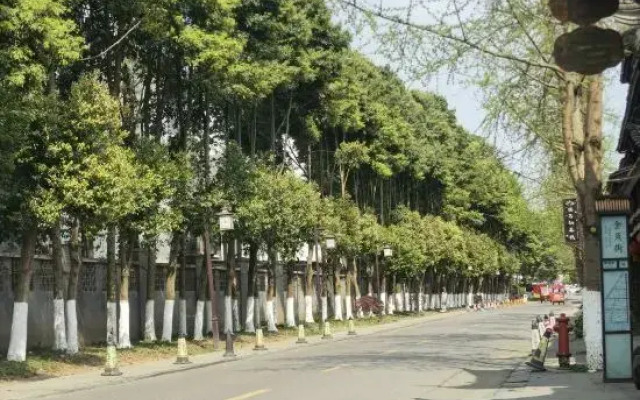 365 Boutique Homestay