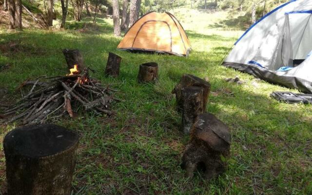 Casa Don Gil - Campsite