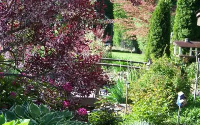 Bavarian Orchard Motel