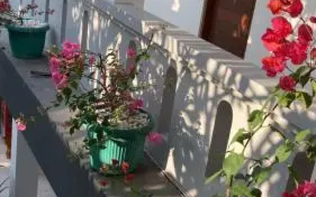 Rumahku Bali Executive