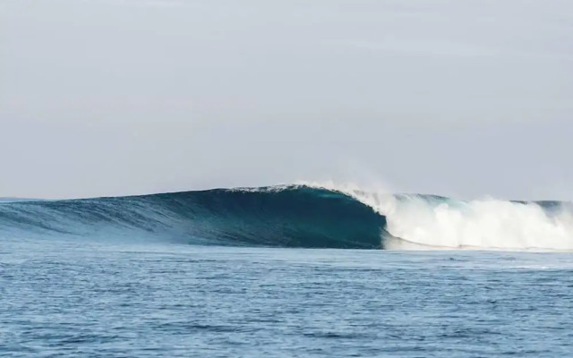 VatuVonu