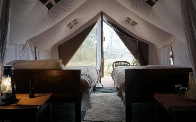 Tigertops Elephant Camp