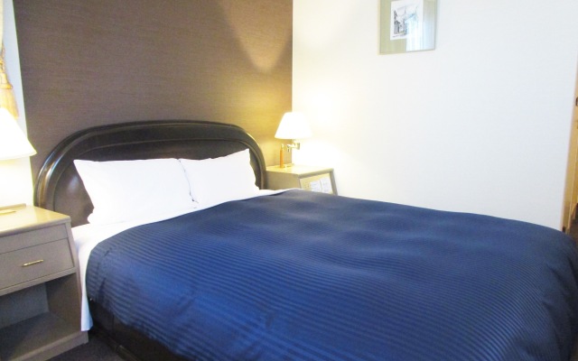 HOTEL LiVEMAX Sapporo