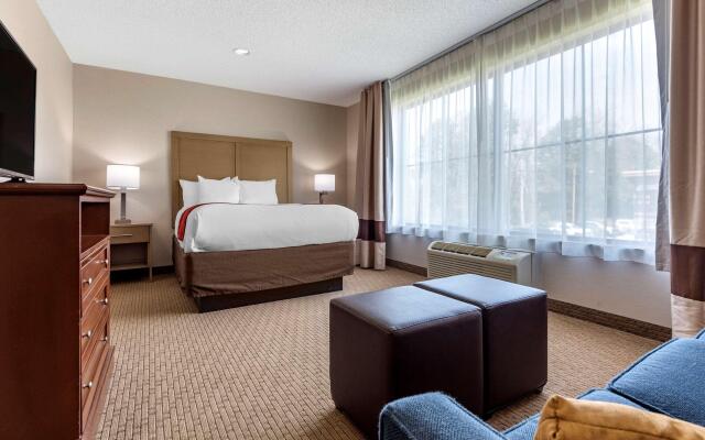 Comfort Inn & Suites Farmington - Victor