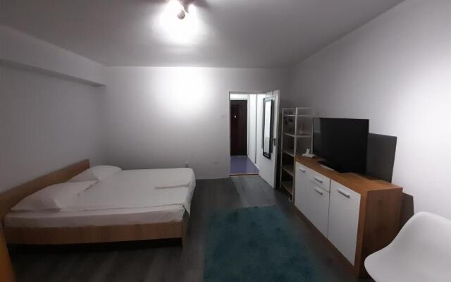 Bega Circumvalatiunii 1 Room Apartment